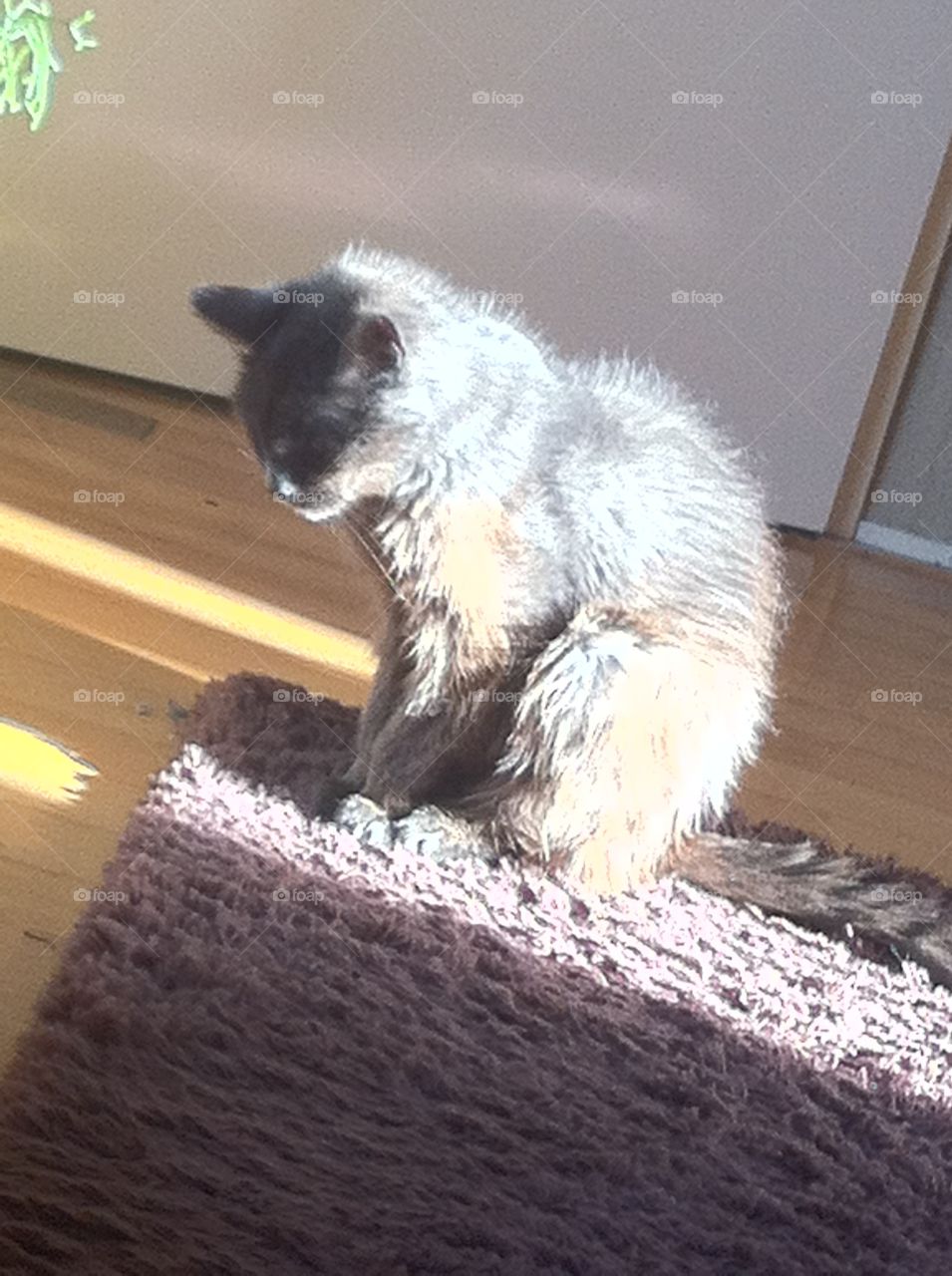 Last days of my life, it was a good life❤️