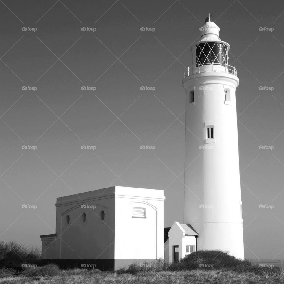 Black and White Lighthouse 