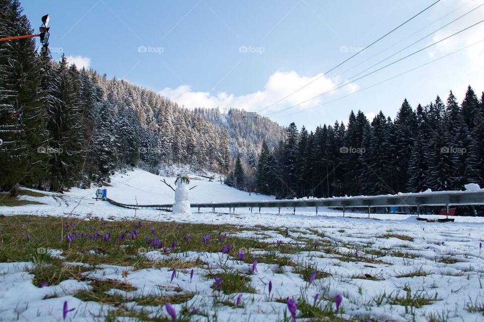 Spring in Poiana Brasov, Romania