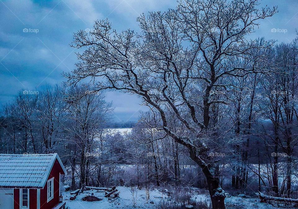 First snow, in the evening
