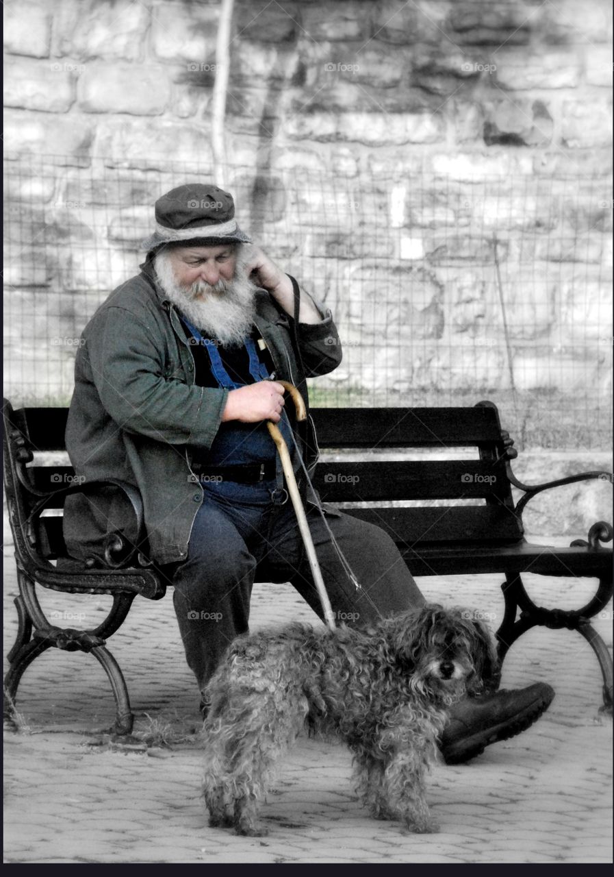 A  couple of mongrels. A bearded old gent and his scruffy mutt pass the time on a park bench 