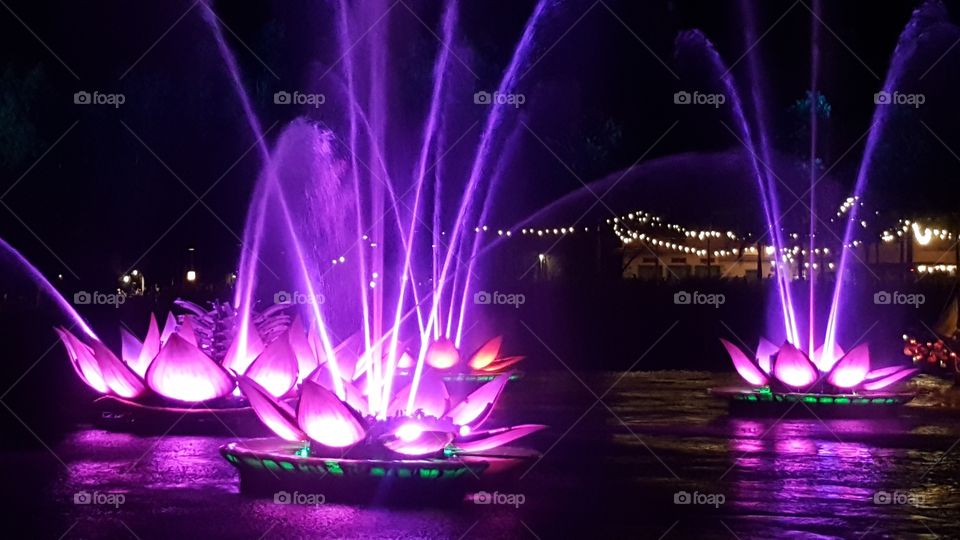 Flowers illuminated the World Showcase during Rivers of Light at EPCOT.