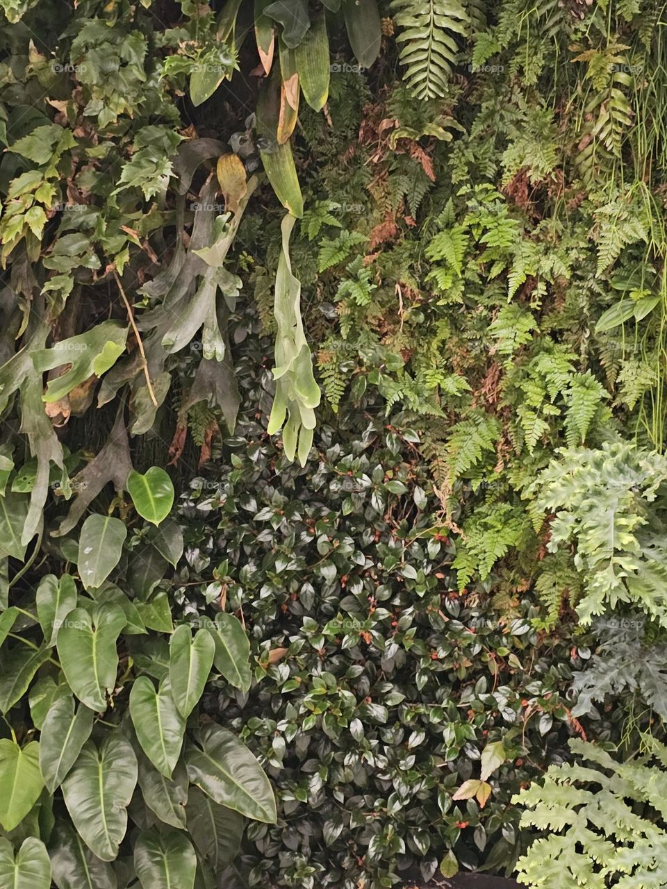 Different spices in one wall