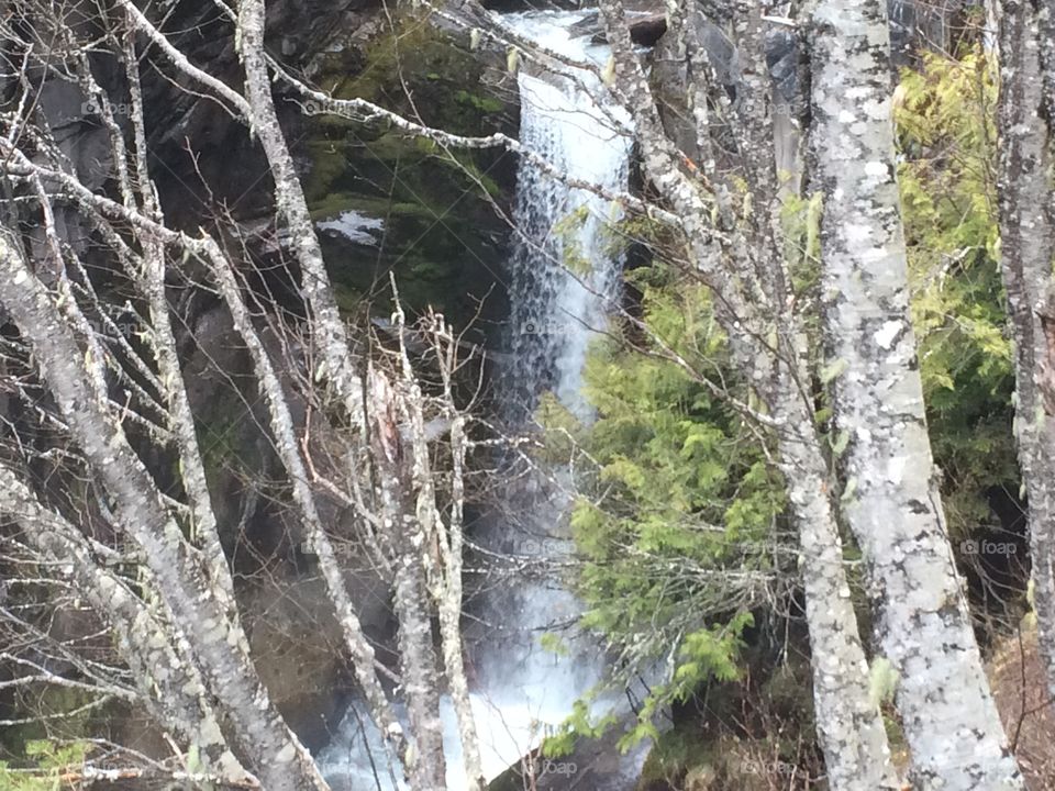 Waterfall Mt Rainier 