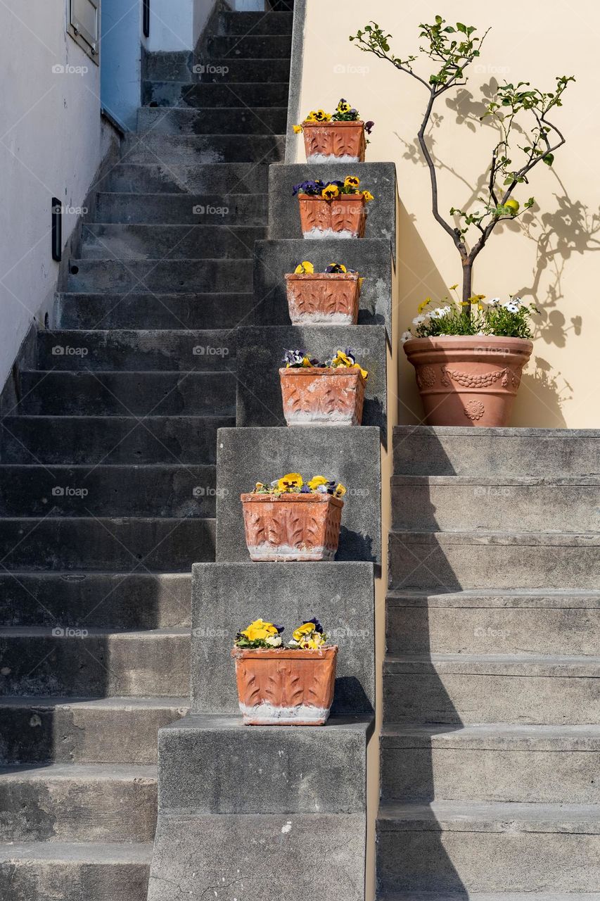 Beautiful view of flowers in clay pots standing on a stone staircase going up on a sunny day on the island of Capri in Italy, close-up side view. Urban plants concept.