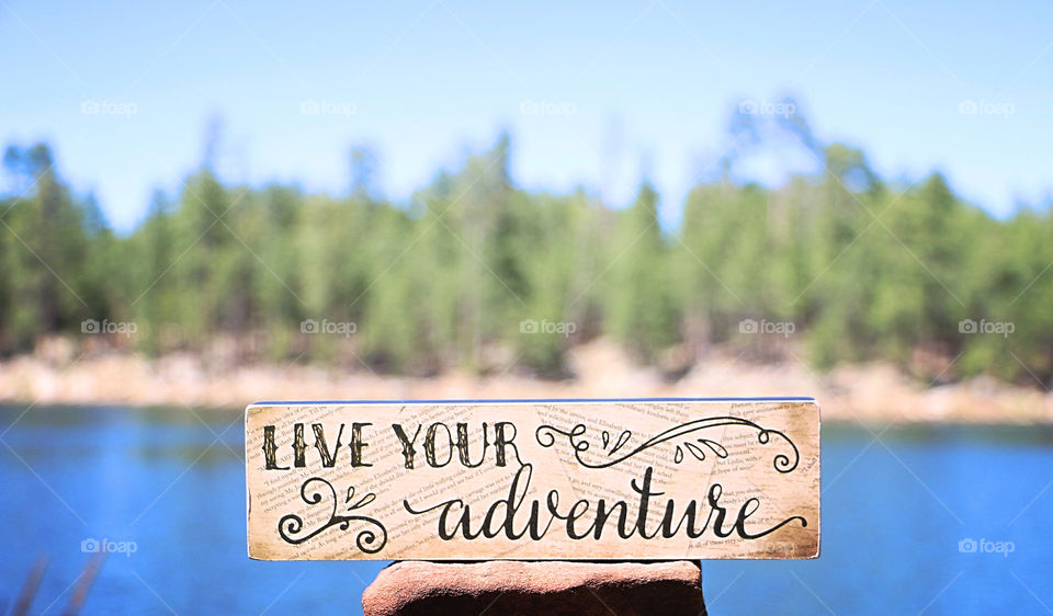 Live Your Adventure