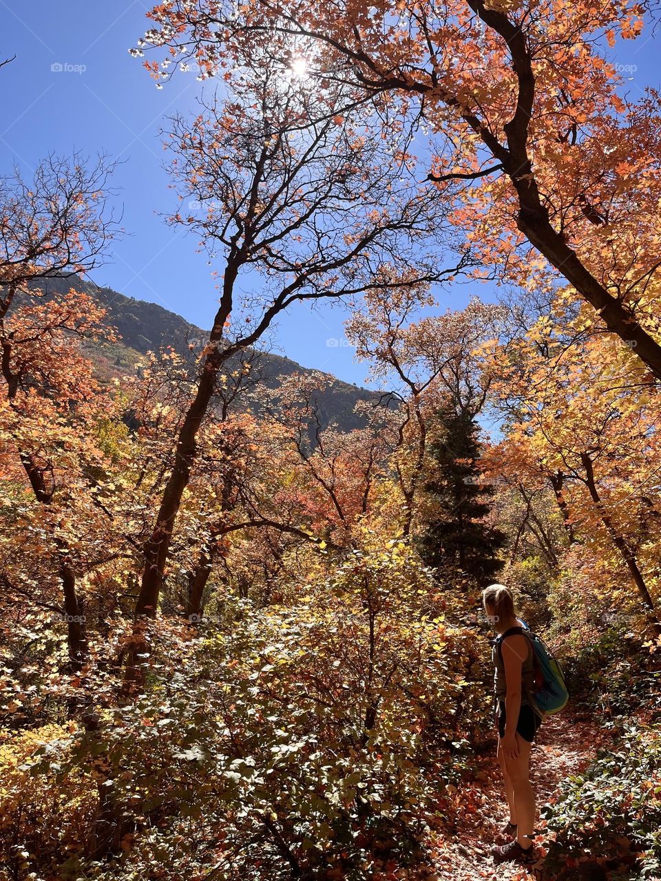 A sunshine paradise during a late fall hike in the Utah mountains 