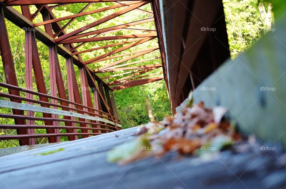 Bridge. Unique perspective of bridge in fall