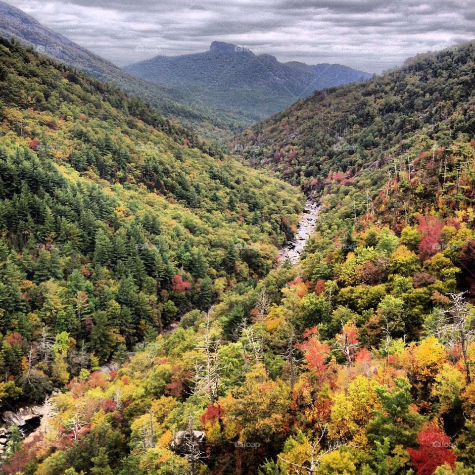 A view of the Linville Gorge from Babel Tower in North Carolina.
