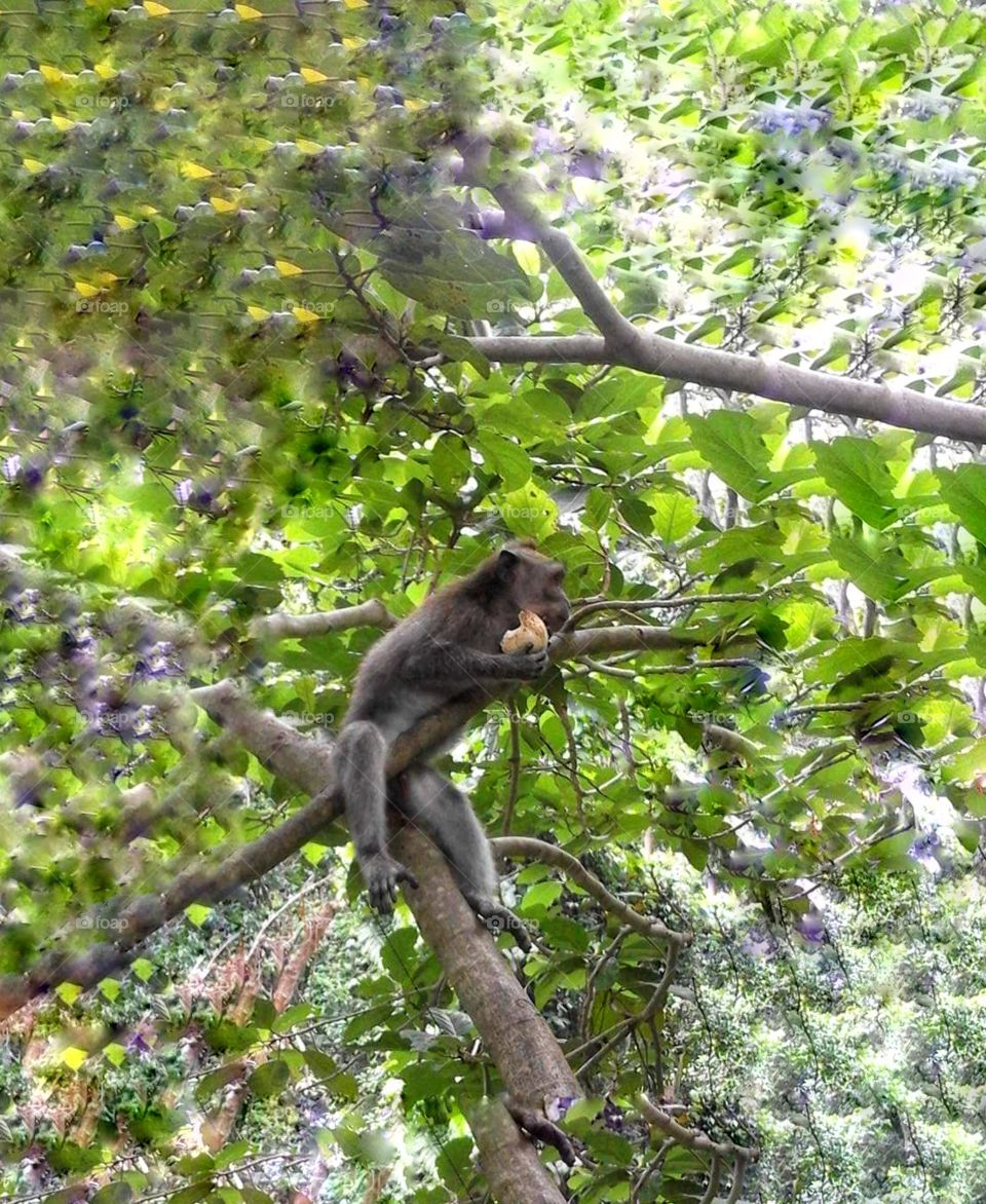 Sometimes loneliness is really enjoyed and grateful for