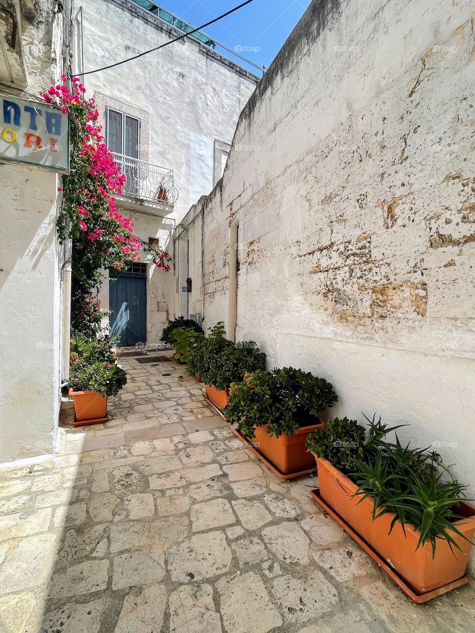 Urban city life: old light paved street perspective view with lush plants in the flower bed pots 