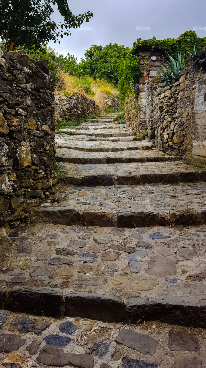Street in Corniglia in Italy