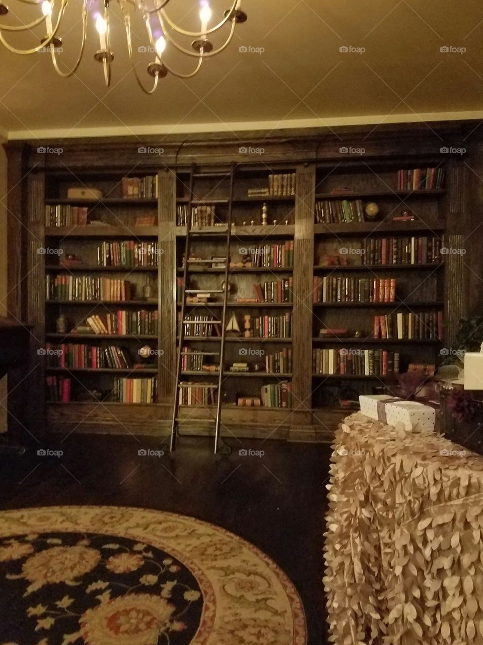 Old Fashioned Library
