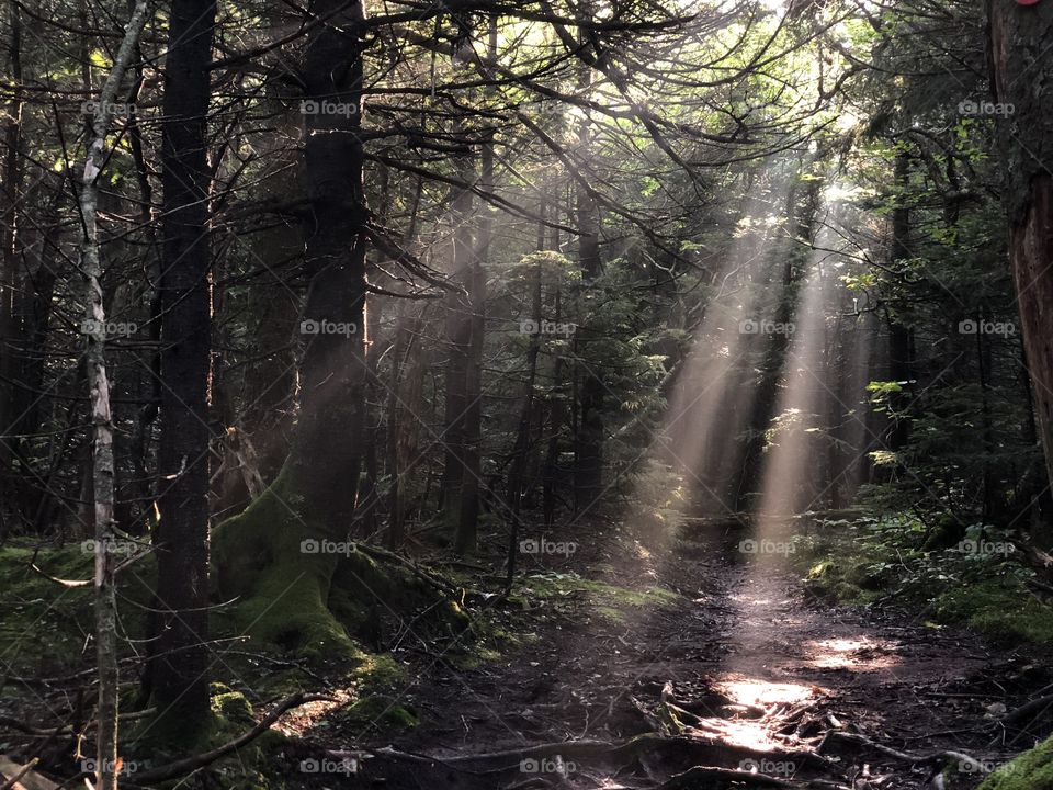 Picture taken on iPhoneX during hiking in Upstate New York (Catskill Mountains) 