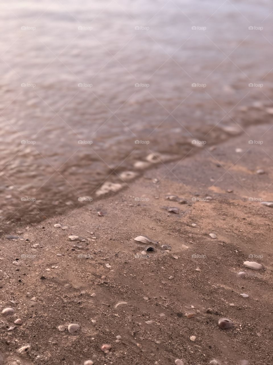 Where the sea meets land