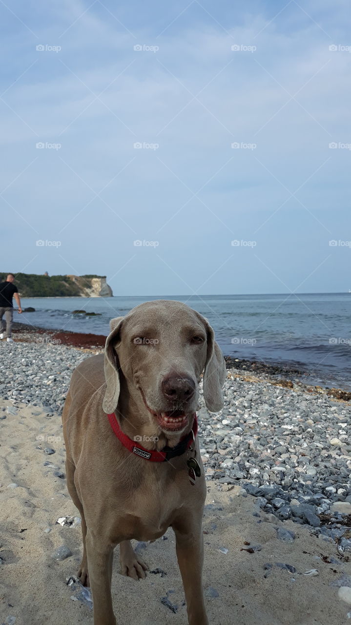 Blick auf Kap Arkona