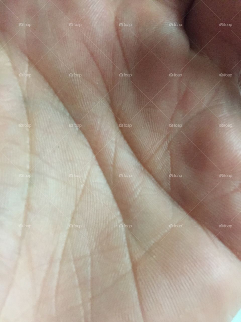 All in the palm of your hand 