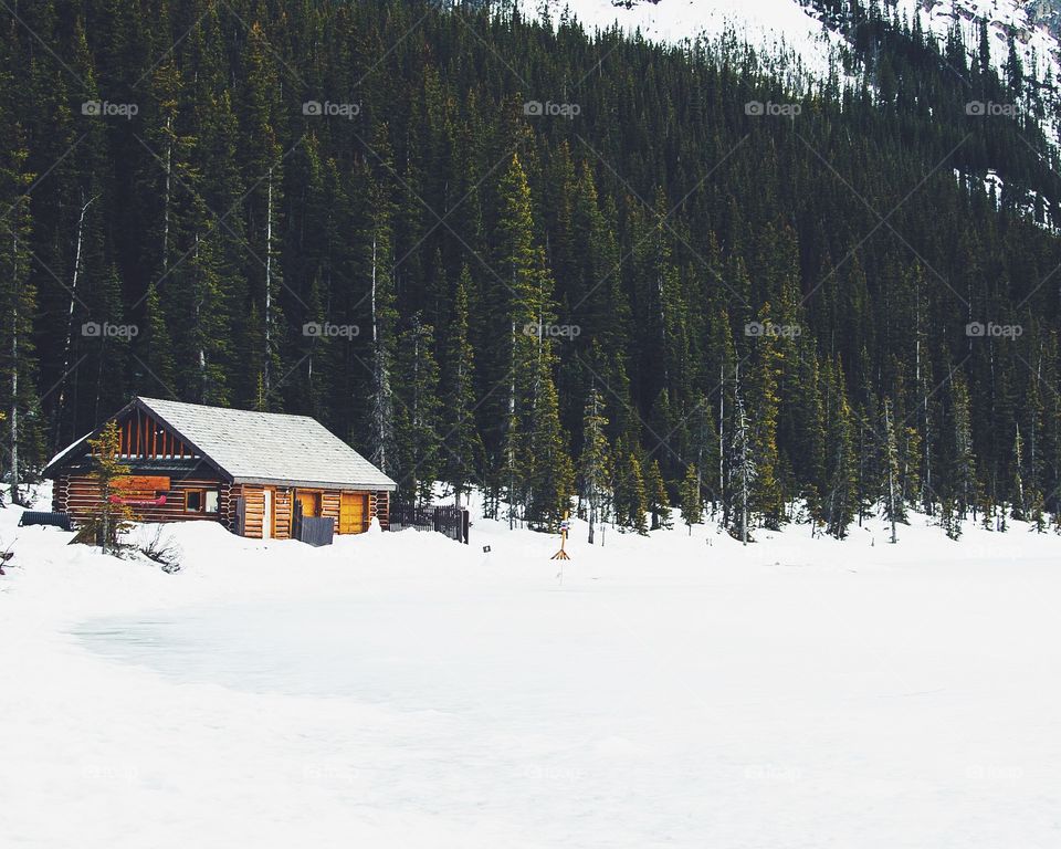 Snow, Mountain, Hut, Winter, Chalet