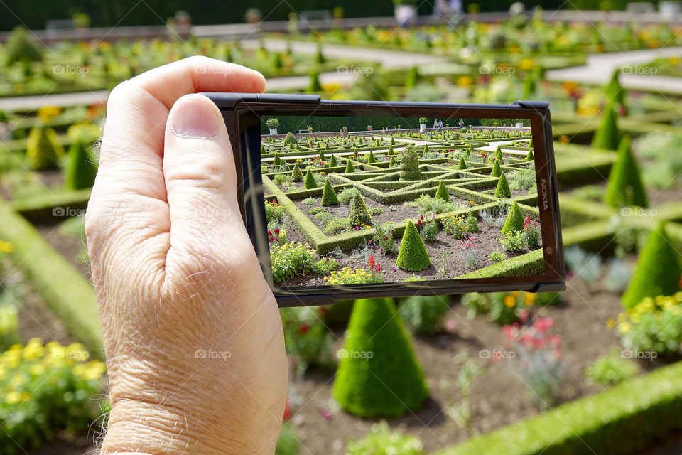 Camera phone. Taking a picture of a garden in an English stately home with a smartphone cell phone mobile phone camera 