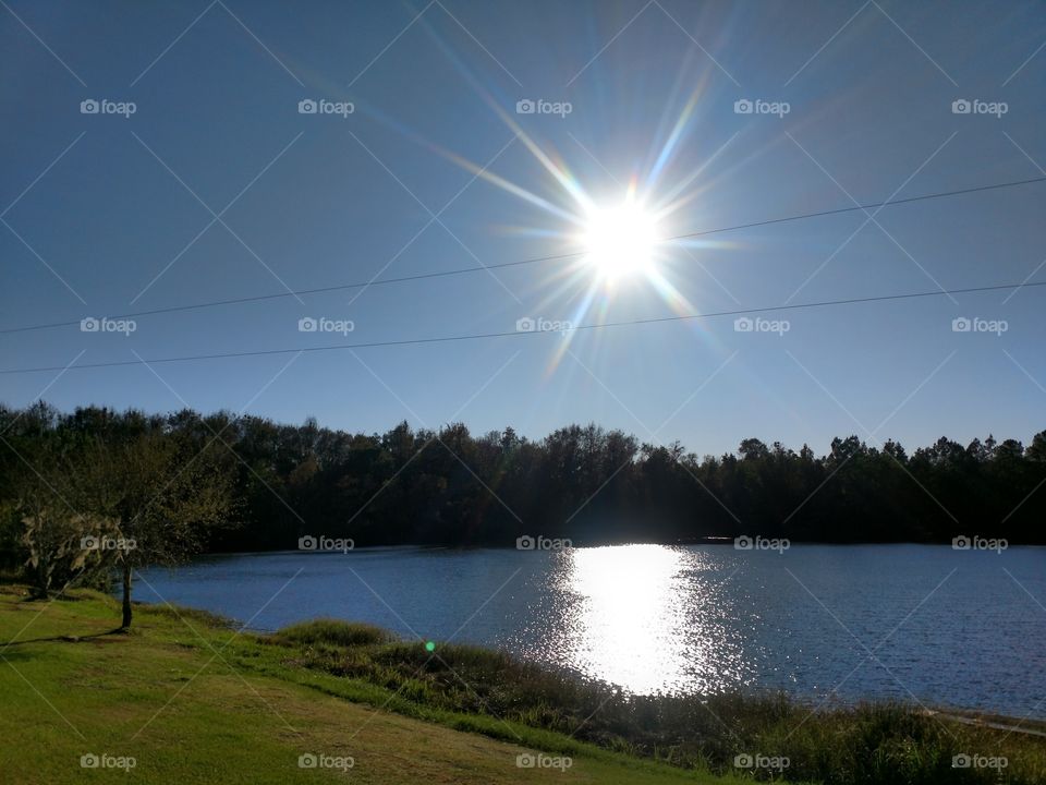 lake, sunshine, grass, afternoon, home, peaceful