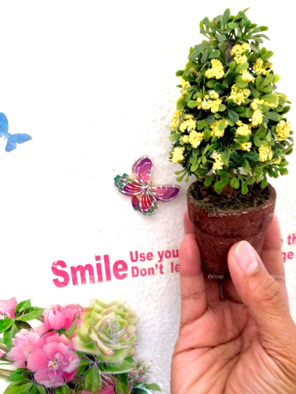 House Plants In Pots


Published by:
HappyBrownMonkey 