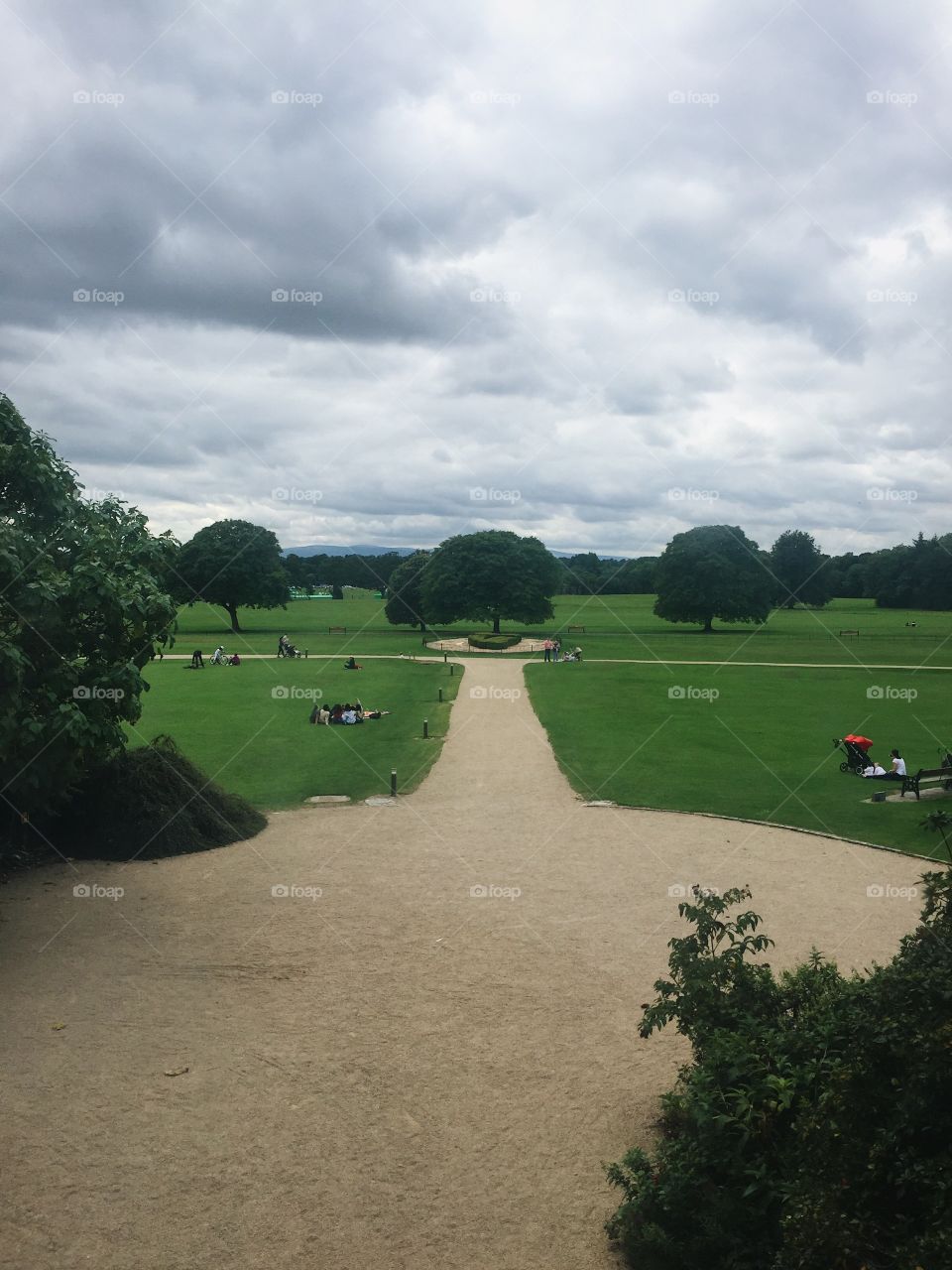 Landscape, Tree, No Person, Golf, Daylight