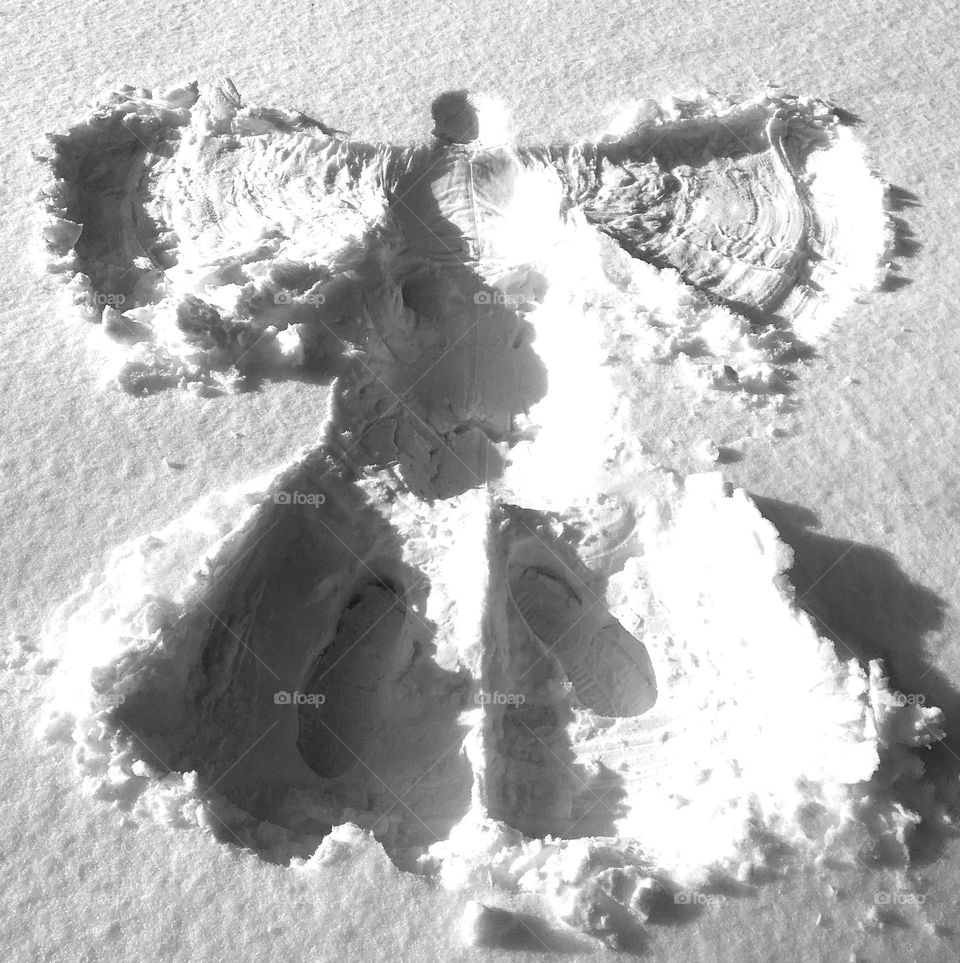 A snow angel, light and shadow, motion and stillness, colorless winter exemplified. 