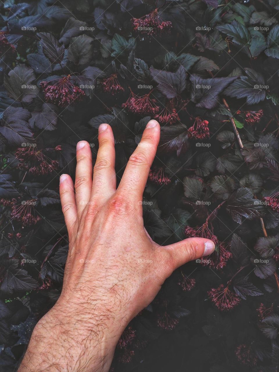 male hand on a background of flowers