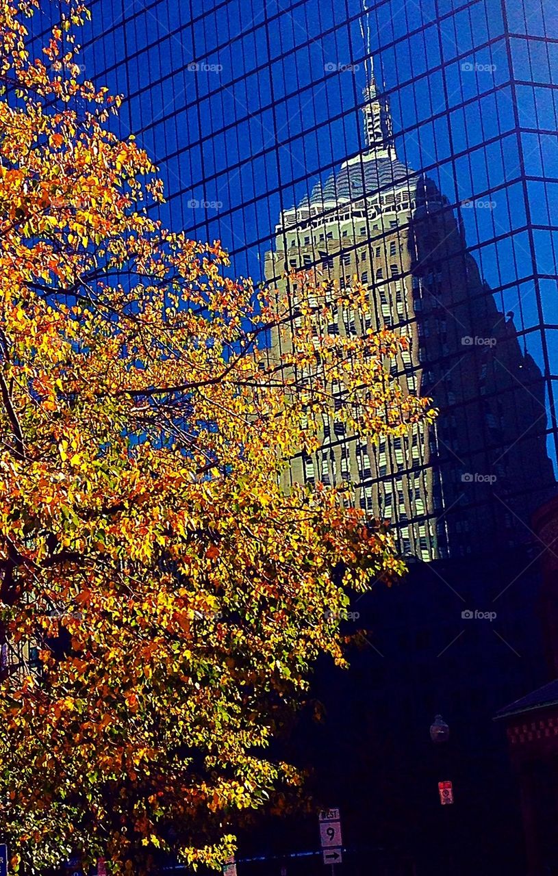 Autumn in the city