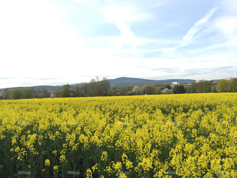 Spring 2017 is coming!