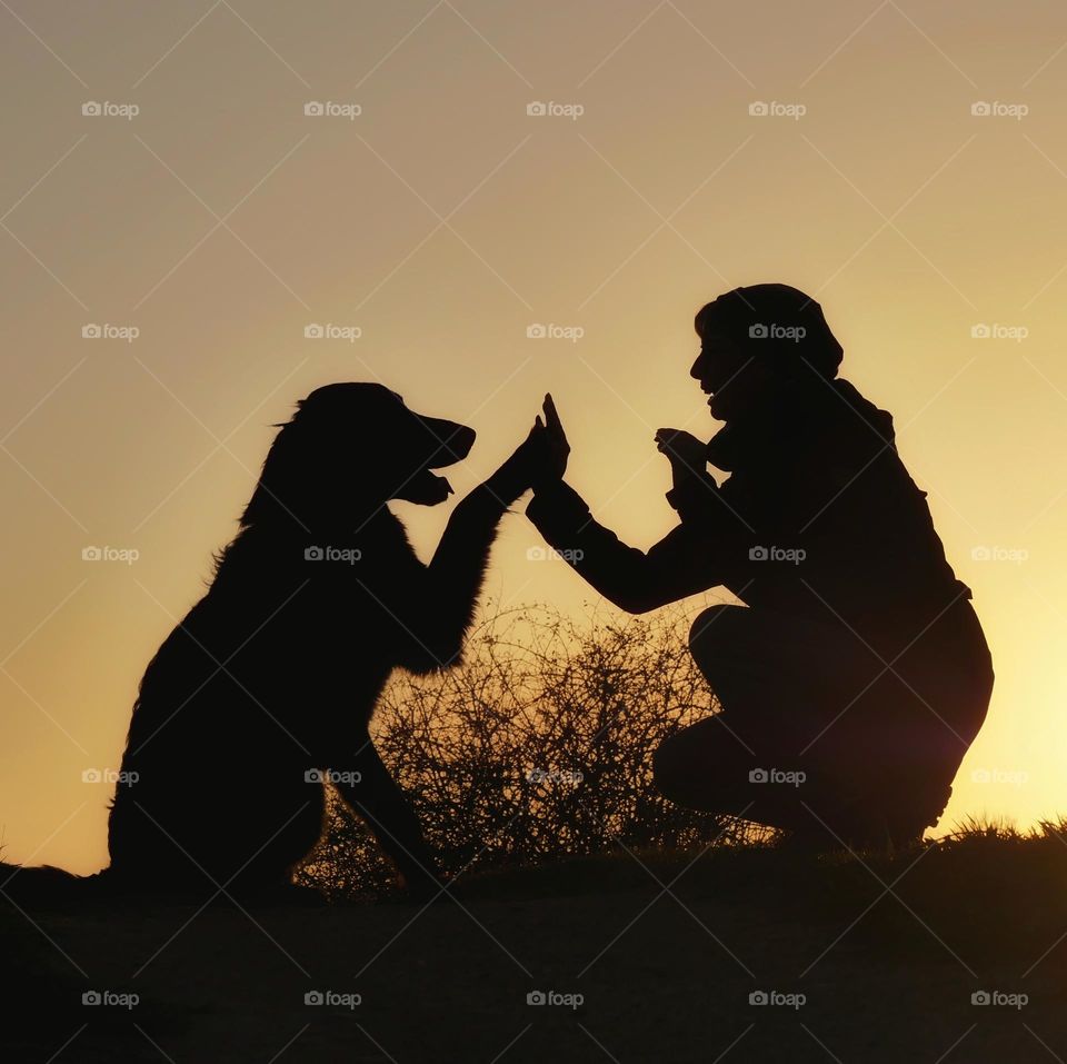 Silhouettes of my dog and me