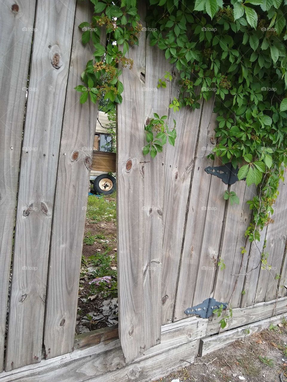 A wooden fence that's been vandalized by someone.