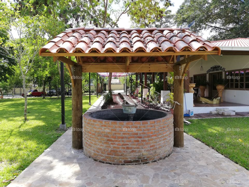 Libélula, San Pedro Sula, Honduras