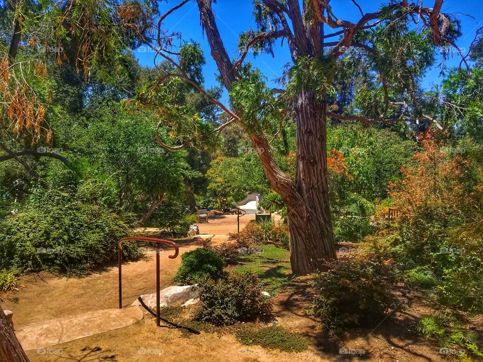 Down Under, California