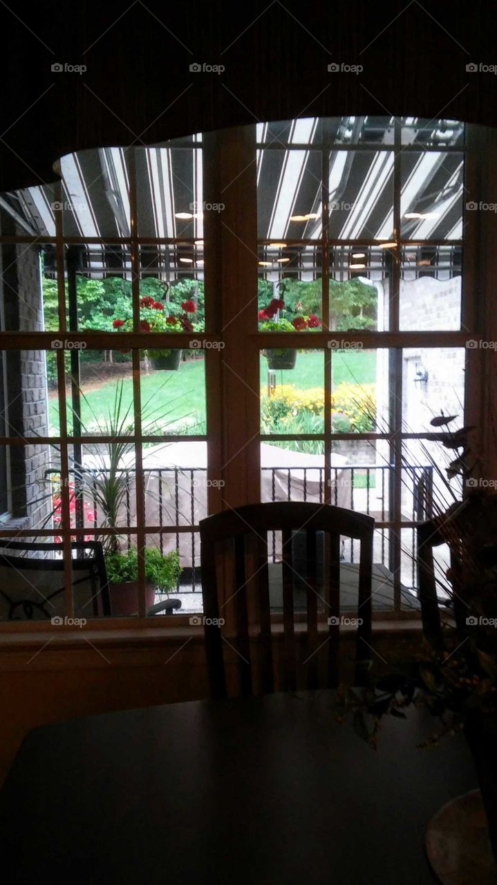 view of summer from the kitchen window