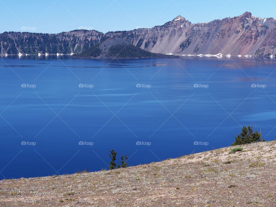 The rich blue waters of the deep Crater Lake in Southern Oregon with fir trees on the jagged rim on a beautiful sunny summer morning with clear blue skies.