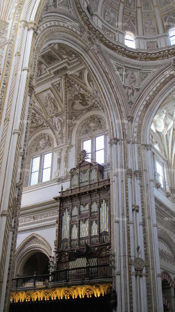 Organ in the Seville Cathedral in Spain