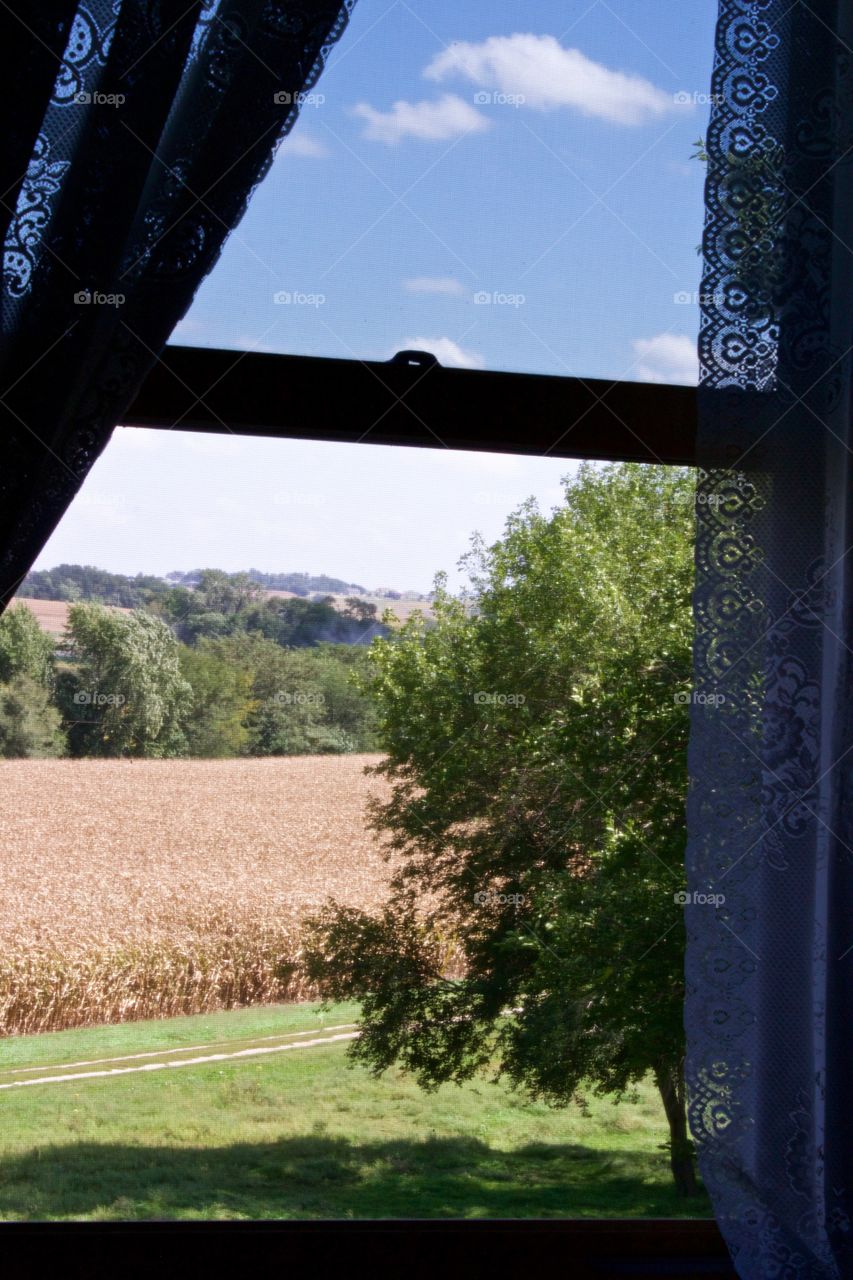 View of blue sky and clouds, cornfields and tree-covered, rolling hills through an upper-story,  silhouetted window with white lace curtains on a beautiful, late summer day 