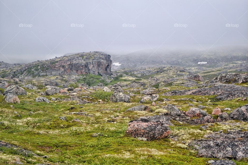 Stone tundra