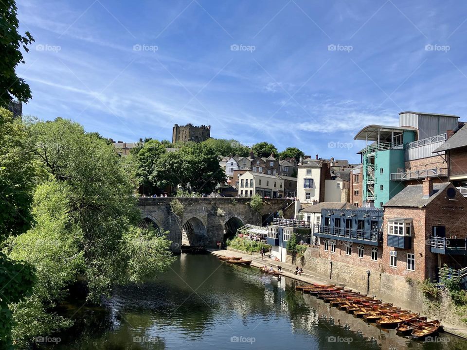 City centre in Durham … nature is everywhere and if you look closely it’s even poking out of the stone bridge !