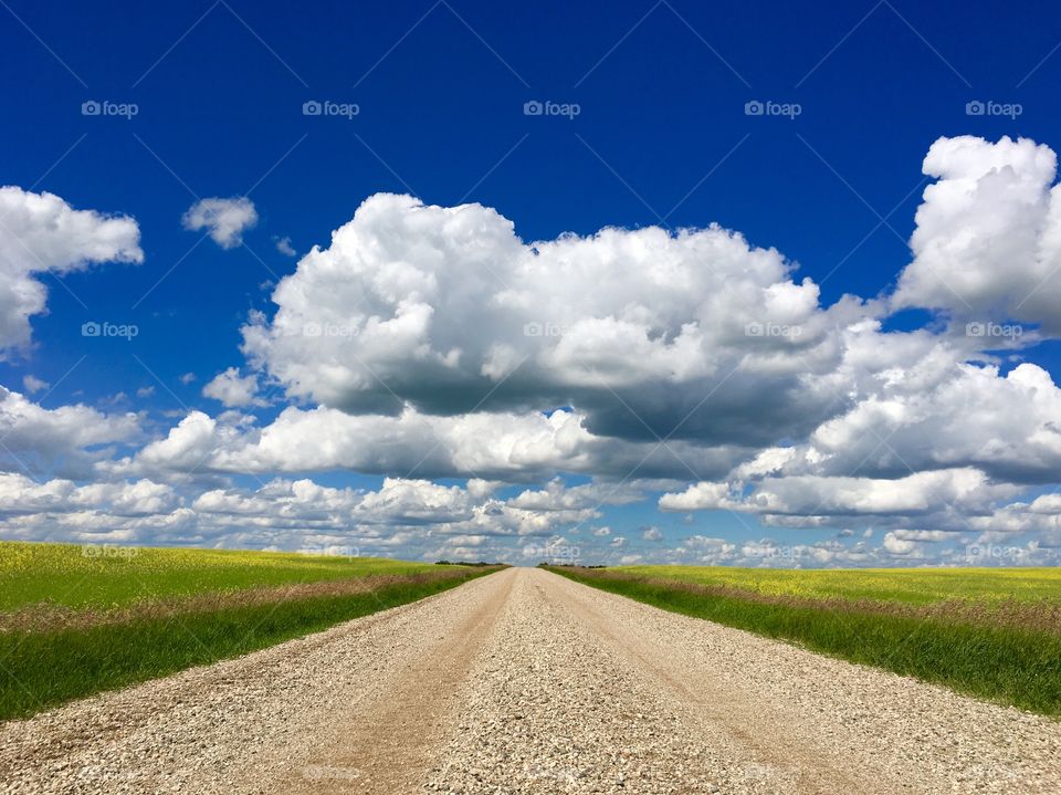 Prairie gravel road 