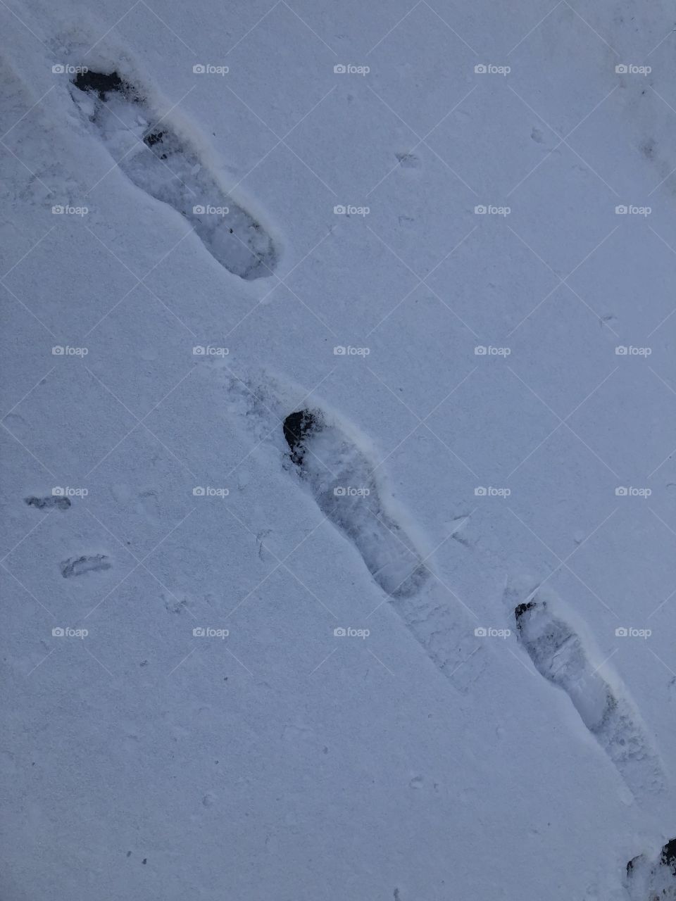 A set of snow footprints, pressed into the snow following the recent snowstorm. So much can be said about this photo, yet I’ll let you decide what to make of them.