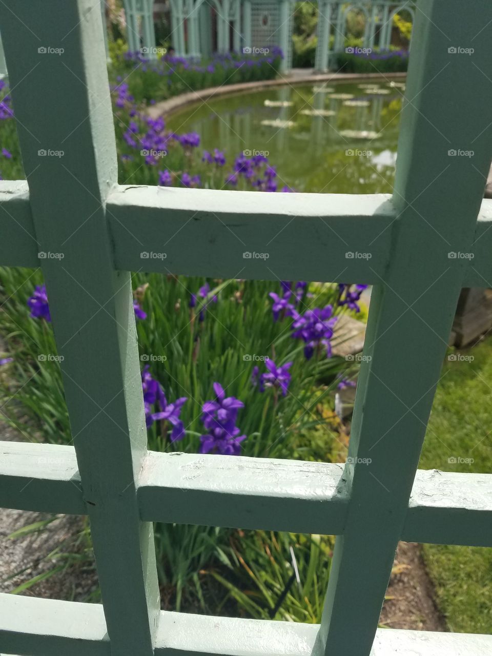 No Person, Flower, Grass, Wood, House