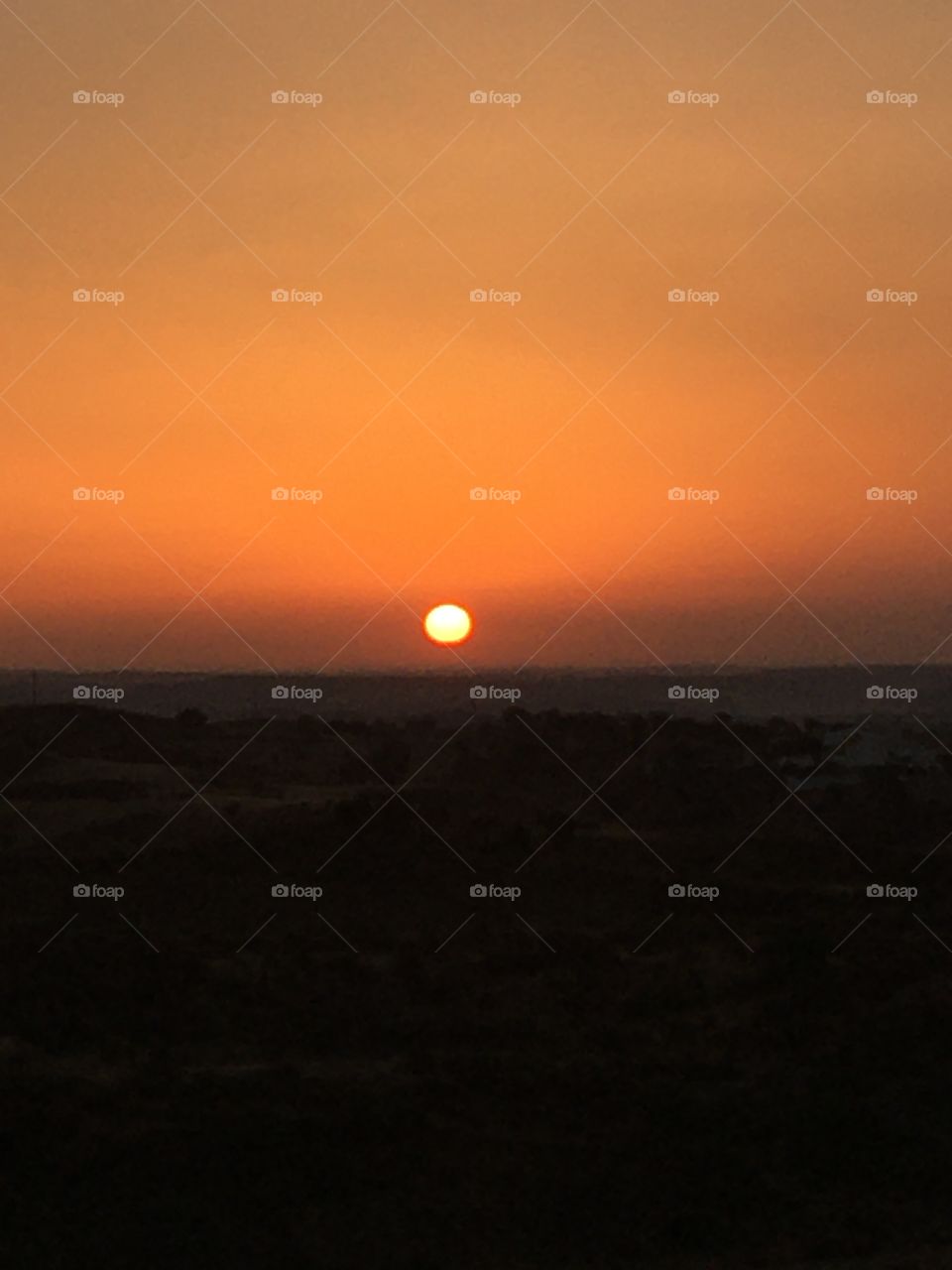 Sunrise on land