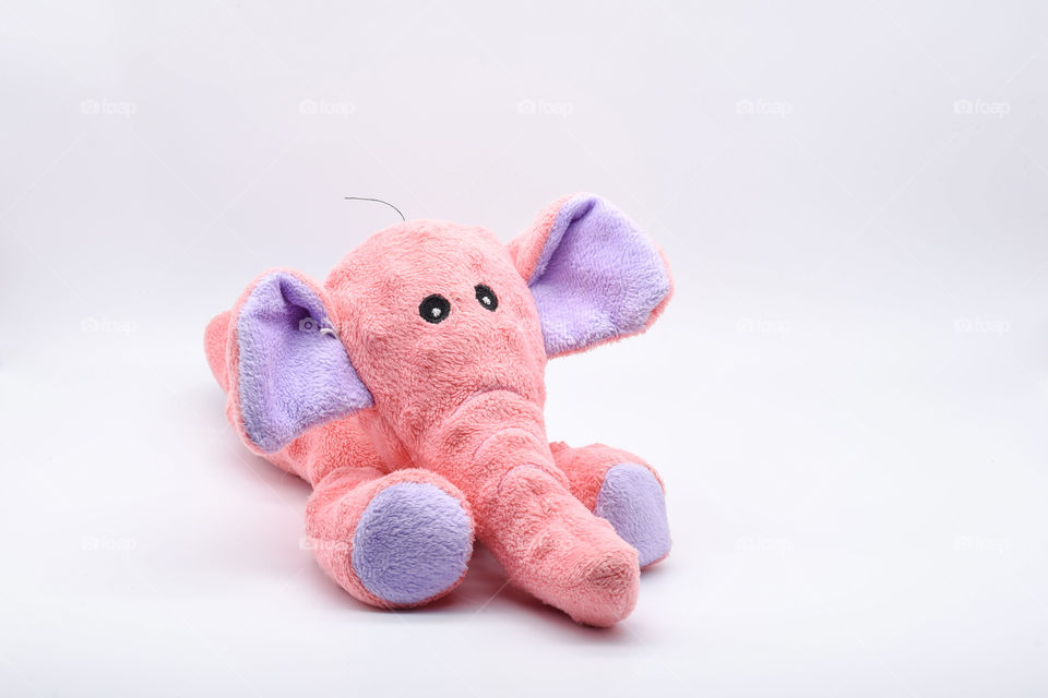 Here’s Oyster’s most favorite stuffed toy. We call it “Elephant” I guess it’s obvious. She’ll bring this toy to us whenever she feel like playing fetch! Such a cute gesture.