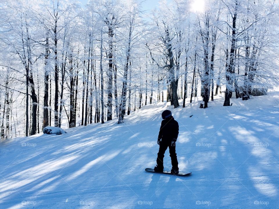 Man with snowboard going down the slope surrounded by trees covered in snow and sun gazing through the branches