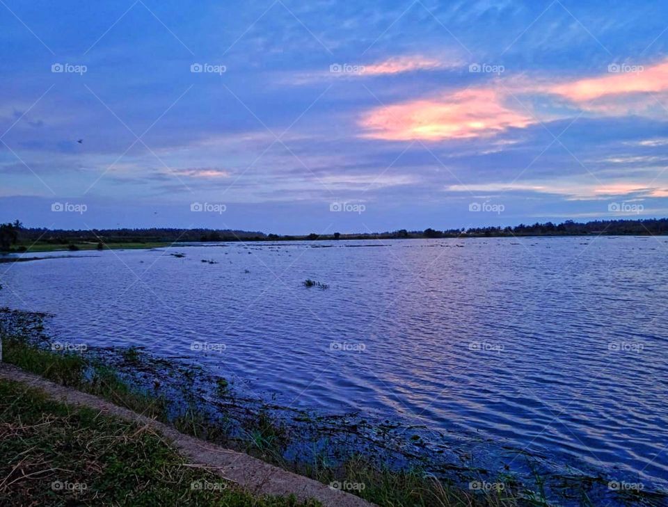 beautiful scenery image of evening in a village side