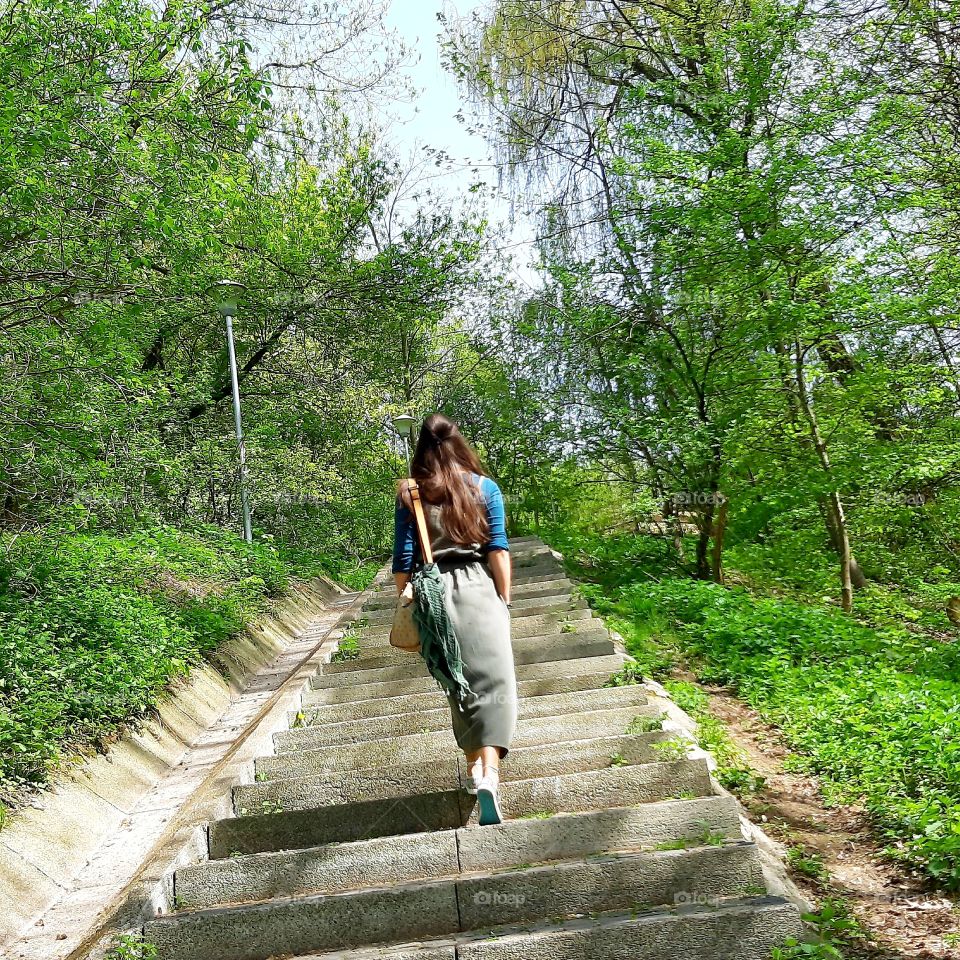 Woods steps footpath