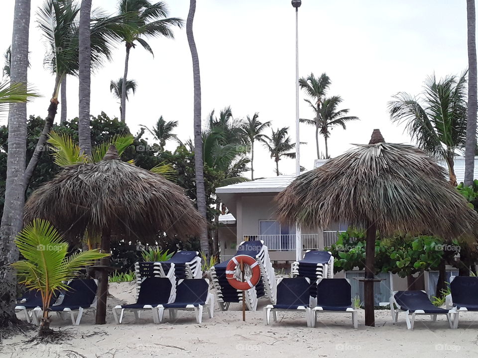 sun loungers beach fungi lifebuoy hotel shoreline