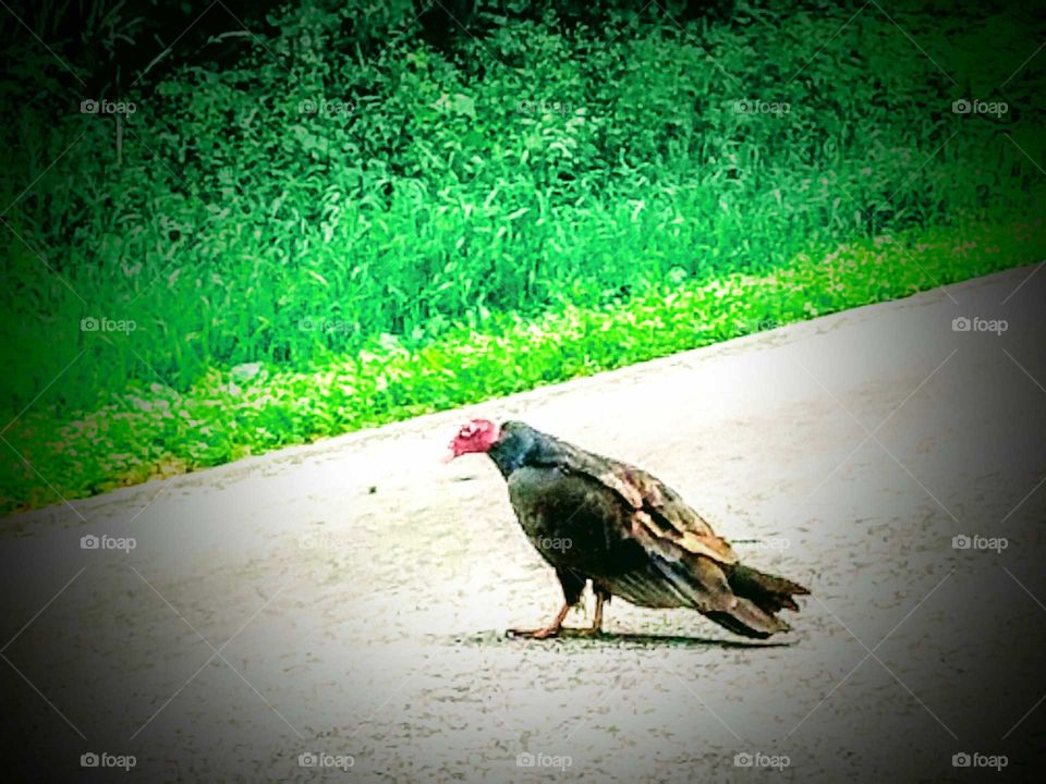 Driving the Back Roads and enjoying everything around us